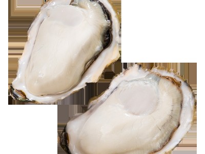 乳山生蚝牡蛎鲜活海蛎子自助海鲜烧烤夜市小吃摊生蚝批发一件代发图5