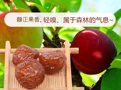 加减乘除食品 樱桃味嘉应子李果蜜饯果脯果干梅子蓝莓水果干零食图4