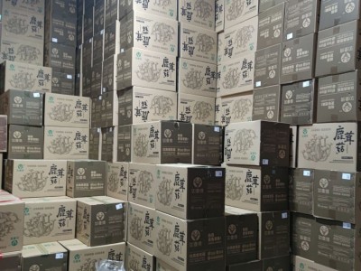 【基地直供】鹿茸菇鹿茸菌脆脆菇散装批发 食用菌酒店食材图3