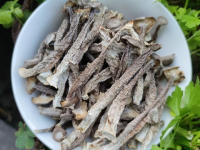 【基地直供】鹿茸菇鹿茸菌脆脆菇散装批发 食用菌酒店食材图2
