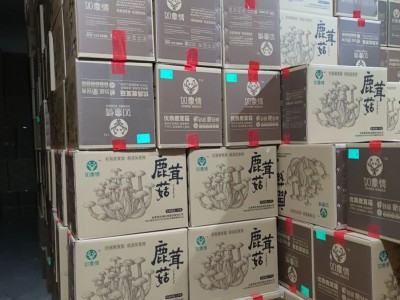 【基地直供】鹿茸菇鹿茸菌脆脆菇散装批发 食用菌酒店食材图4