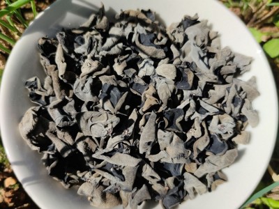 秋沐黑木耳秋木耳古田干货土特产山珍货小碗耳散装批发一件代发图2
