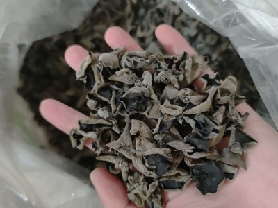 秋沐黑木耳秋木耳古田干货土特产山珍货小碗耳散装批发一件代发图3
