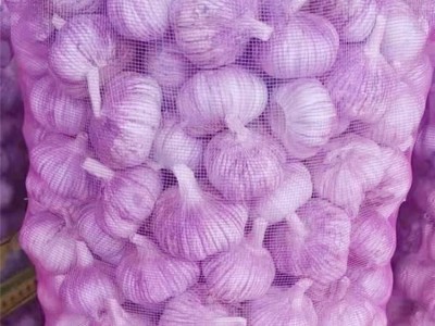 众程农贸大蒜储存大蒜代收代销紫皮大蒜价格图2