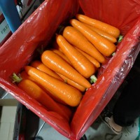 包邮10斤胡萝卜水果萝卜生吃新鲜蔬菜当季整箱带泥甜脆红皮心