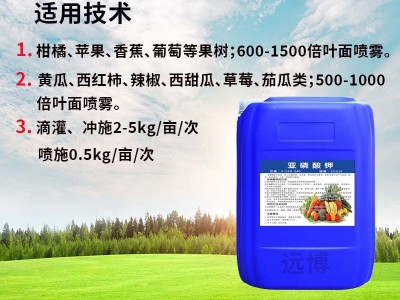 亚磷酸钾 叶面肥保花壮苗膨果防病害喷施全水溶高磷高钾亚 磷酸钾图4
