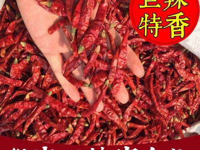 超辣印度干辣椒 特辣变态辣魔鬼辣批发餐饮商用现货可切段干辣椒图2