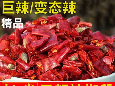 超辣印度干辣椒 特辣变态辣魔鬼辣批发餐饮商用现货可切段干辣椒图4