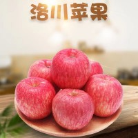 长期供应陕西洛川正宗红富士苹果新鲜水果5斤/10斤一件代发
