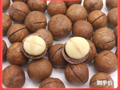 新货特大夏威夷果500g散装原味奶油味坚果炒货零食品整箱10斤起批图1