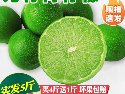 无籽青柠檬新鲜薄皮青柠一级无子香水柠檬小青柠奶茶维生素柠檬图3