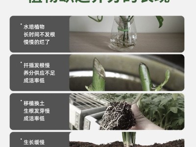 厂家批发快速生根液移栽花苗插芊花卉移植多肉植物爆根生根剂图1