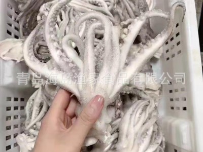 厂家直供批发单冻机洗鱿鱼头冻品海鲜烧烤铁板烧卤味火锅串串原料图4
