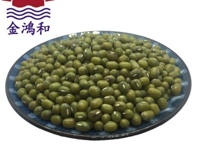 芽菜绿豆 芽绿豆 发芽绿豆 绿豆芽菜图2