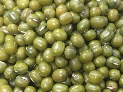 绿豆 用作 绿豆沙 绿豆饼 绿豆糕 绿豆爽 豆丝 粽子 月饼图5