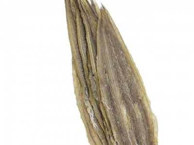 烧烤专用鳗鱼片风味鳗鱼干整条去头淡晒海味干货批发图5