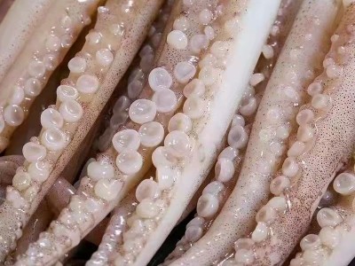 新鲜鱿鱼须海鲜冷冻生鲜尤鱼章鱼足八爪鱼腿铁板鱿鱼商用海鲜水产图3