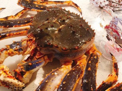 冰鲜帝王蟹俄罗斯阿拉斯加长脚蟹海蟹特大螃蟹酒店餐厅供应皇帝蟹图4