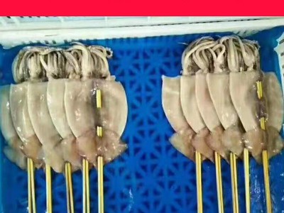 鱿鱼串批发大鱿鱼八爪鱼鲜活冷冻须烧烤鱿鱼板串食品半成品批发图3