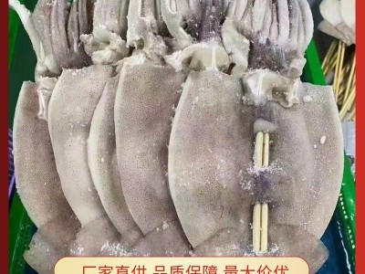 鱿鱼串批发大鱿鱼八爪鱼鲜活冷冻须烧烤鱿鱼板串食品半成品批发图1