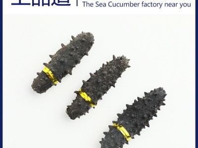 【海参工厂】淡干海参批发辽刺参干货厂家干制海参一件代发50g图3