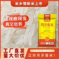 厂家批发22年新米 月牙香米10斤猫牙米5kg 当月现磨新鲜日期籼米