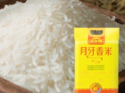 厂家批发22年新米 月牙香米10斤猫牙米5kg 当月现磨新鲜日期籼米图2