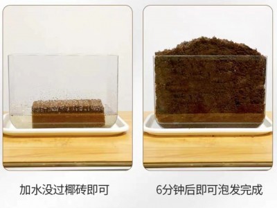 批发供应椰砖营养土有机养花蔬菜多肉植物压缩椰粉砖椰糠栽培基质图4