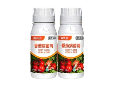 番茄病害专用药大量供货番茄病菌清灰霉炭疽专用番茄清菌剂病全管图5