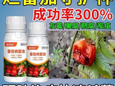 番茄病害专用药番茄病菌清灰霉炭疽专用番茄专用清菌剂病全治全清图3