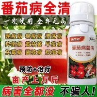 番茄病害专用药番茄病菌清灰霉炭疽专用番茄专用清菌剂病全治全清