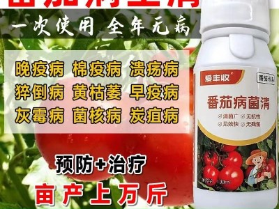 源头厂家西红柿番茄病菌清叶面肥番茄专用西红柿专用西红柿叶面肥图2