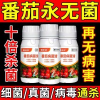 源头厂家西红柿番茄病菌清叶面肥番茄专用西红柿专用西红柿叶面肥