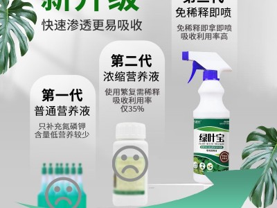 免稀释植物营养液生根液盆栽富贵竹绿叶移栽扦插绿植营养发根肥料图2