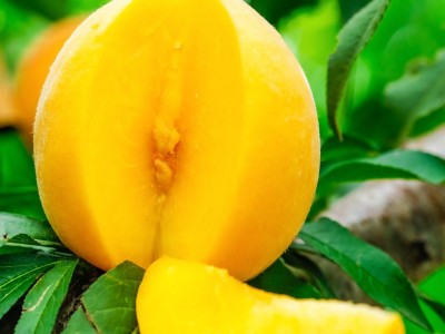 正宗蒙阴黄桃新鲜水果当季孕妇黄金蜜桃甜脆桃子10斤现货整箱包邮图3