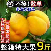 正宗蒙阴黄桃新鲜水果黄金当季孕妇蜜桃甜脆桃子现货10斤整箱包邮