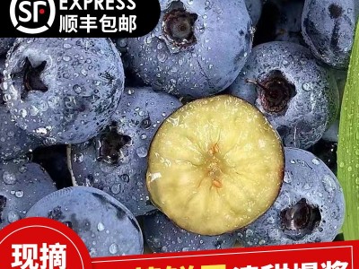 丹东新鲜蓝莓鲜果当季水果现摘现发孕妇水果整箱大果顺丰一件包邮图2