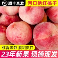 丹东河口艳红桃子新鲜当季水果脆甜孕妇水蜜桃顺丰五斤一件包邮