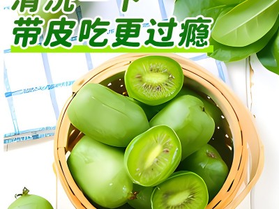 软枣猕猴桃丹东2斤迷你奇异果当季现摘新鲜水果顺丰一件整箱包邮图3
