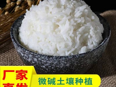 周寨长粒香米十公斤非真空包装20斤丝苗米微碱土壤种植口感软糯图3
