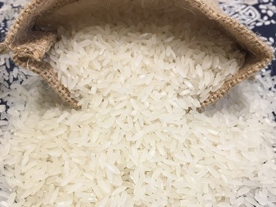 周寨精品丝苗香米新米微碱土壤种植10斤便民装口感软糯厂家货源图4