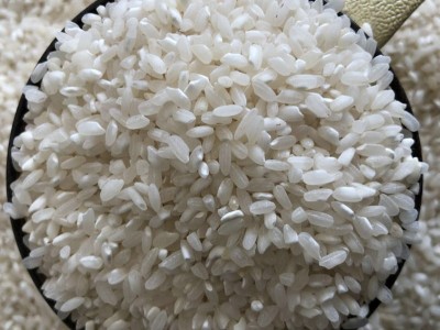 安徽早籼米早稻早谷米豆丝豆皮发糕肠粉面窝熬粥炒饭米真空装5斤图4