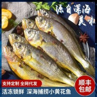 小黄花鱼新鲜冷冻黄鱼生鲜水产鲜活海鱼鲜黄鱼鲞大黄鱼小黄鱼商用