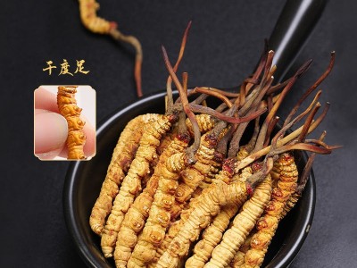 冬虫夏草批发西藏那曲产地直供冻干虫草新货头期一手货源找代理图2