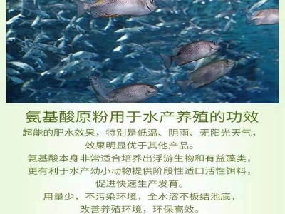 大量批发动物氨基酸原粉农业水产养殖做水溶肥 复合氨基酸原粉图3