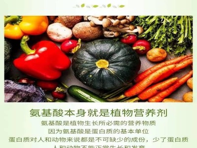 大量批发动物氨基酸原粉农业水产养殖做水溶肥 复合氨基酸原粉图4