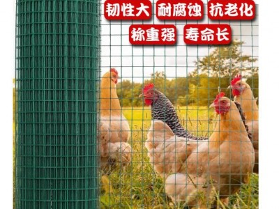 防晒抗老化养殖荷兰网浸塑荷兰网 圈地硬塑荷兰网铁丝网围 栏现货图4