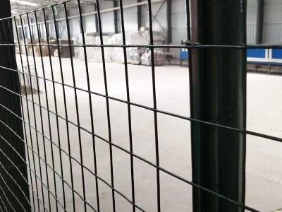硬塑现货荷兰网铁丝网围栏农场果园圈地防护隔离网养鸡鸭养 殖网图4