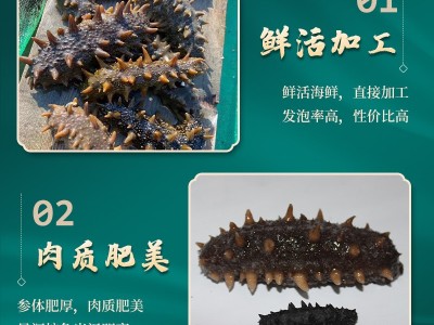 批发大连淡干海参礼盒装酒店鲜食刺参节日送礼50g非即食干货辽参图3
