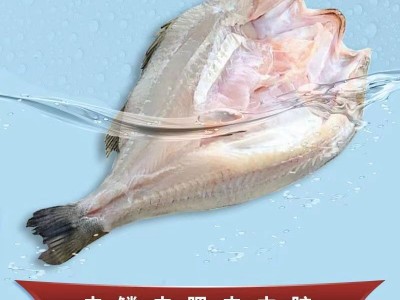 开背鲈鱼深海七星鲈鱼去鳃去鳞去内脏净鱼生鲜鱼类海鲜水产批发图2